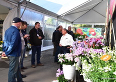 Visitors learning more about the Dümmen Orange varieties. 